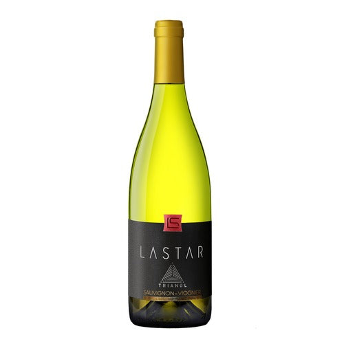 ラスターSV 2021(白)